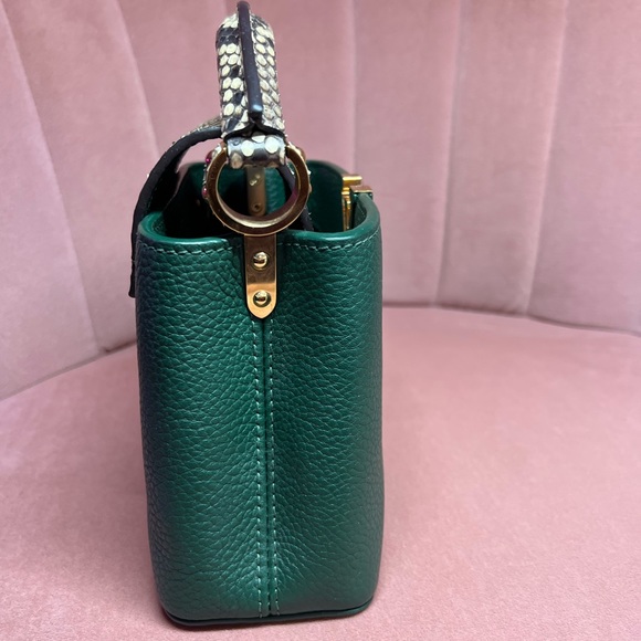 Louis Vuitton Green Python Mini Capucine Bag - Picture 3 of 5